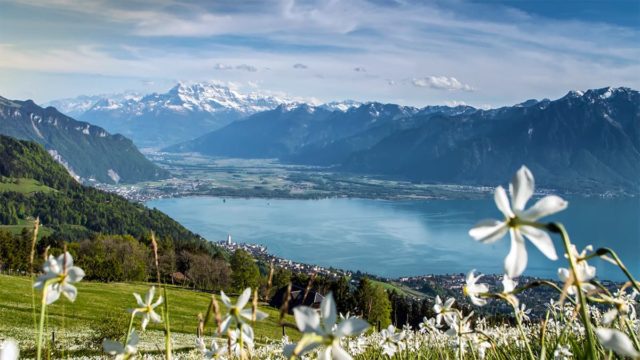 bloney https://rugby.dev29degres.ch/wp-content/uploads/2023/08/bloney-1-640x360.jpg